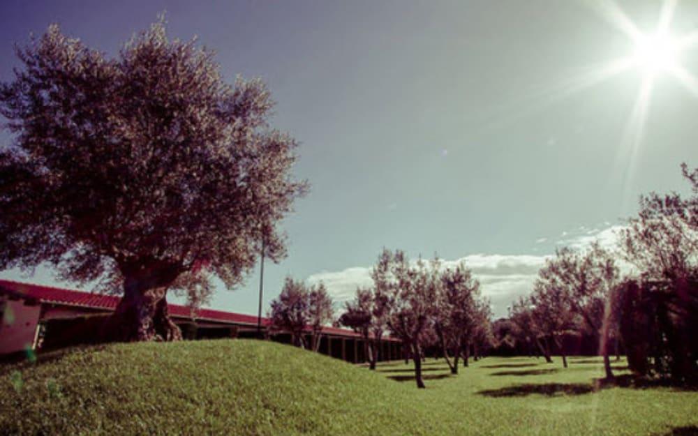 All Ways Garden Hotel&Leisure Rome Extérieur photo